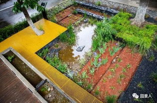 雨水花园设计与排水技术论文，雨水花园设计与排水技术