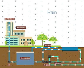 雨水花园施工技术方案